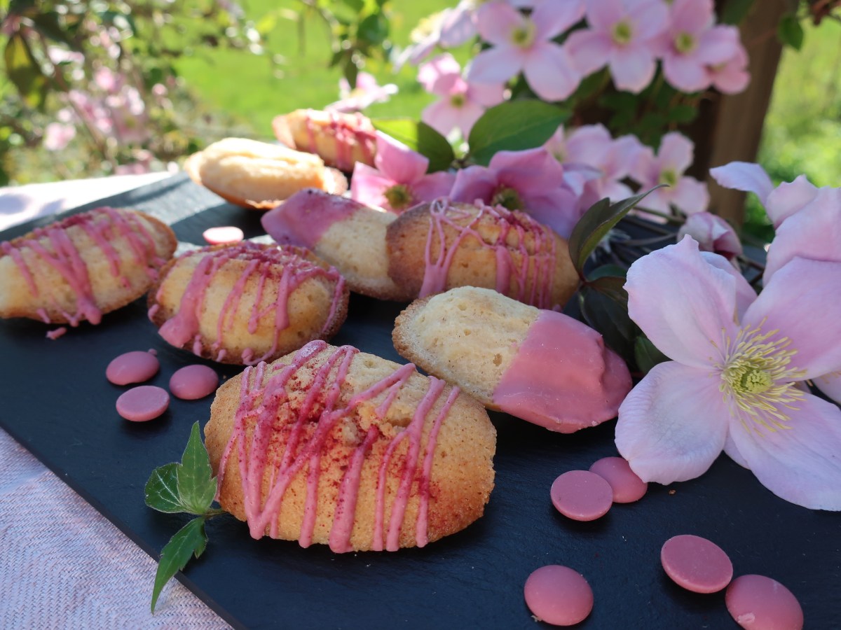 Madeleines mit Ruby&nbsp;Schokolade